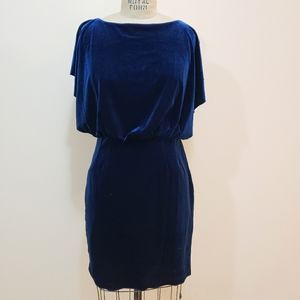 Blue velvet dress